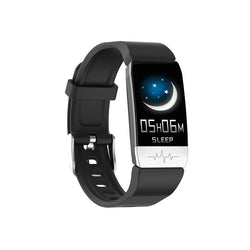 Temp Watch P60